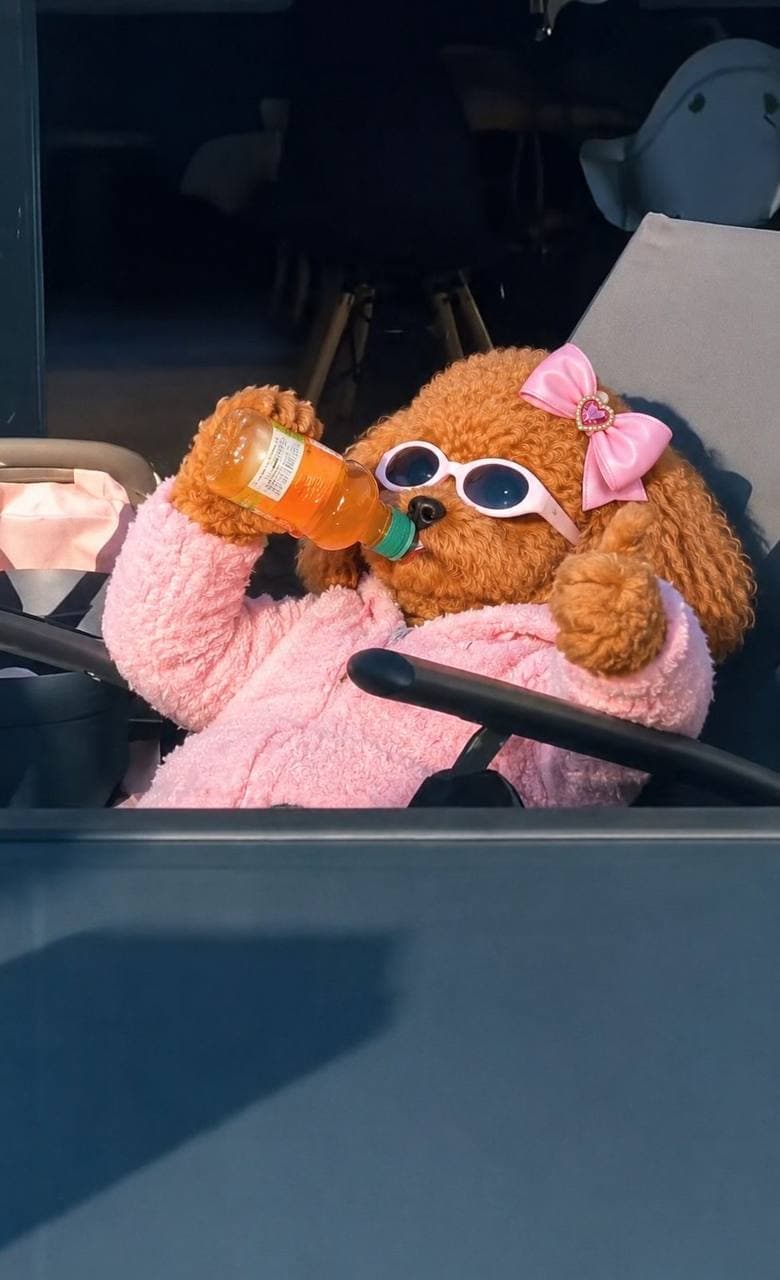 she drives